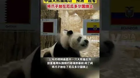 羽毛球年终赛：直播呈现赛事成绩，邓俊文谢影雪首战获胜