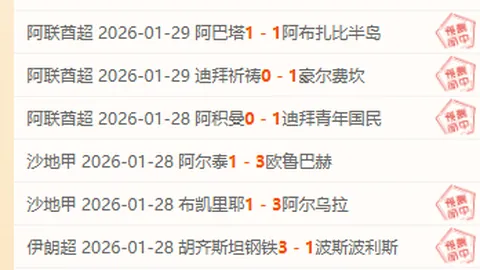 2025嘉兴马拉松：田径狂欢盛典